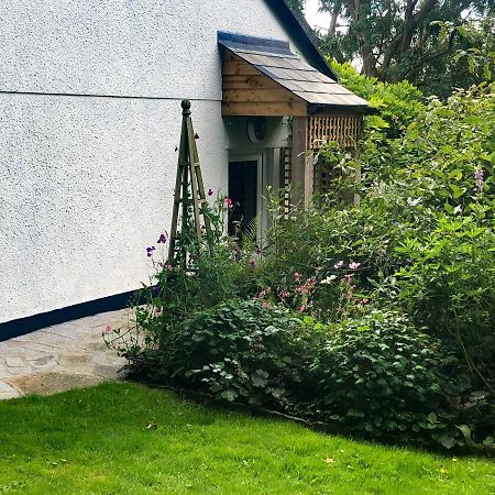 Primrose End Villa Bude Exterior photo