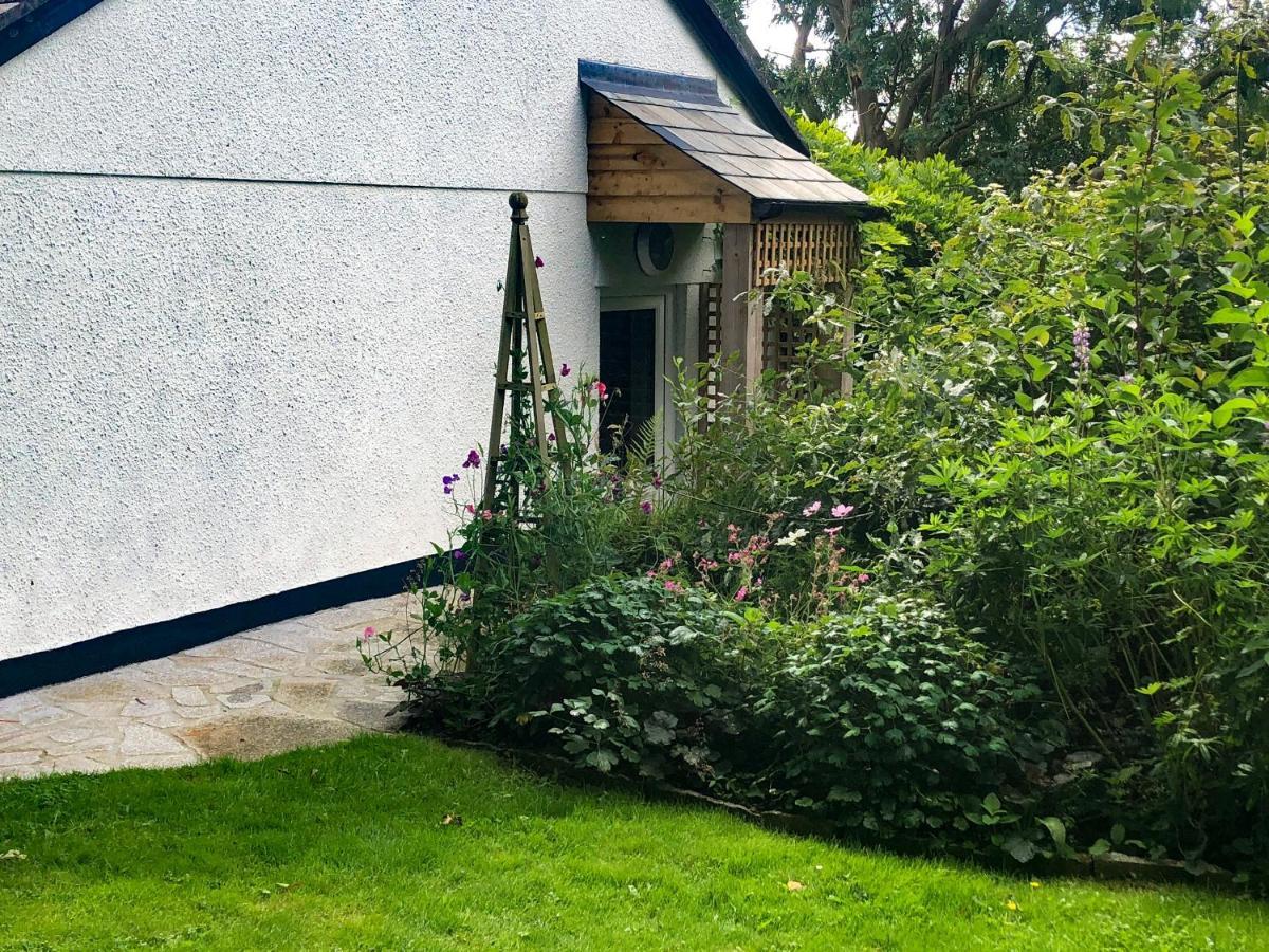 Primrose End Villa Bude Exterior photo